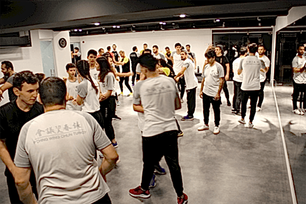 Wing Chun 12 wing chun 6