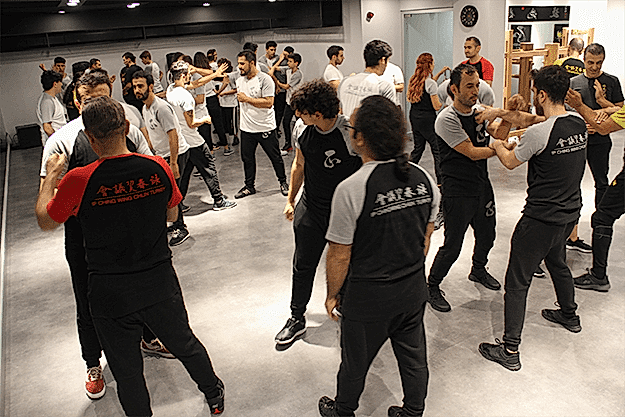 Wing Chun 13 wing chun 7